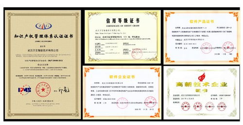 黃岡工業(yè)監(jiān)控系統(tǒng) 武漢萬(wàn)安智能公司的軟件技術(shù)開(kāi)發(fā)實(shí)踐